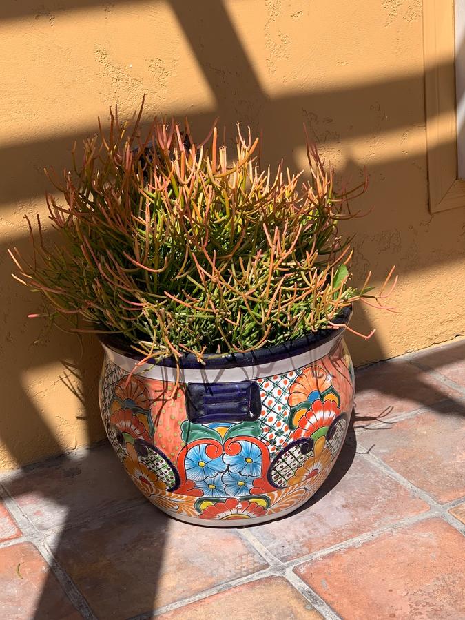 Sandyland Reef Inn - thumb 6