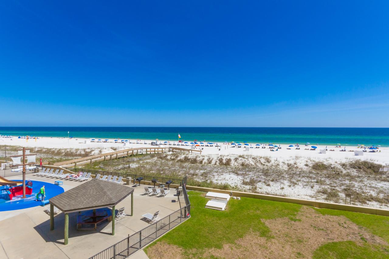 Phoenix V 202 - thumb 25