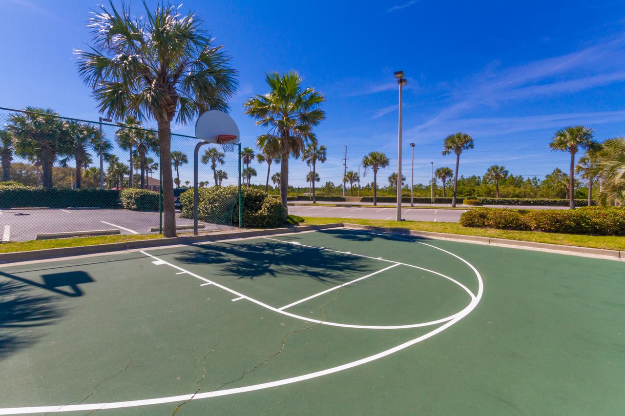 Phoenix V 202 - thumb 18