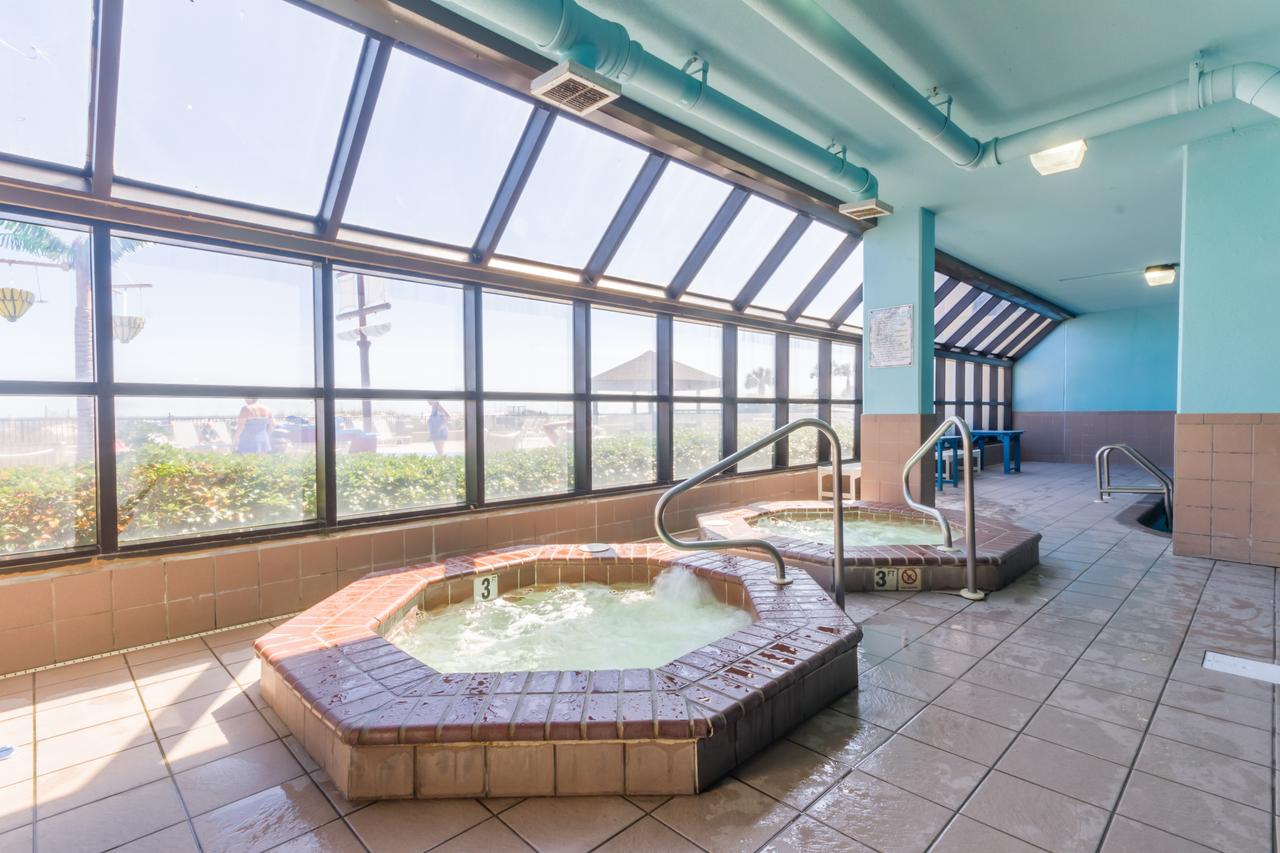 Phoenix V 202 - thumb 16