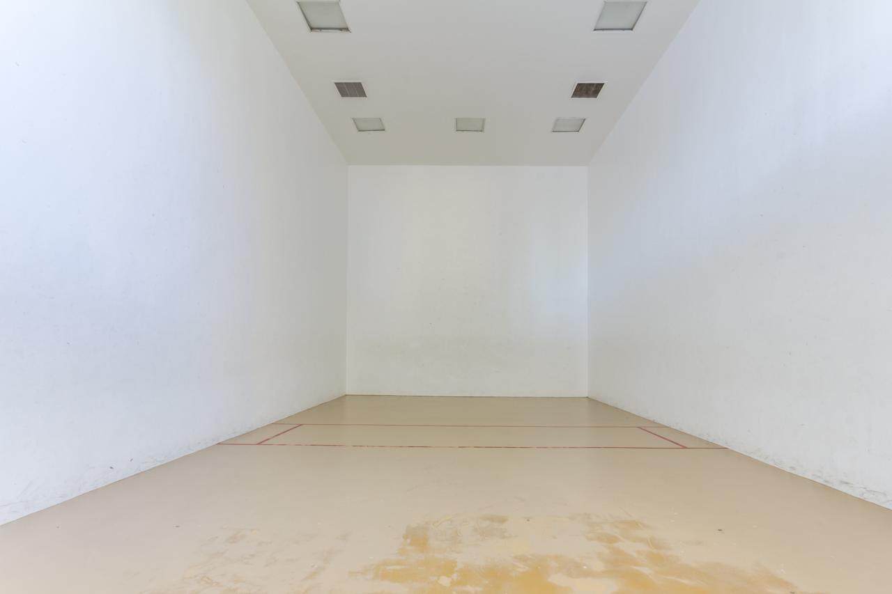 Phoenix V 202 - thumb 17