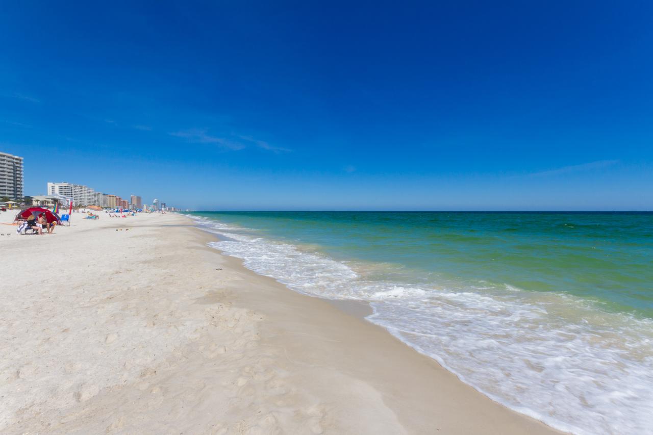 Phoenix V 202 - thumb 23