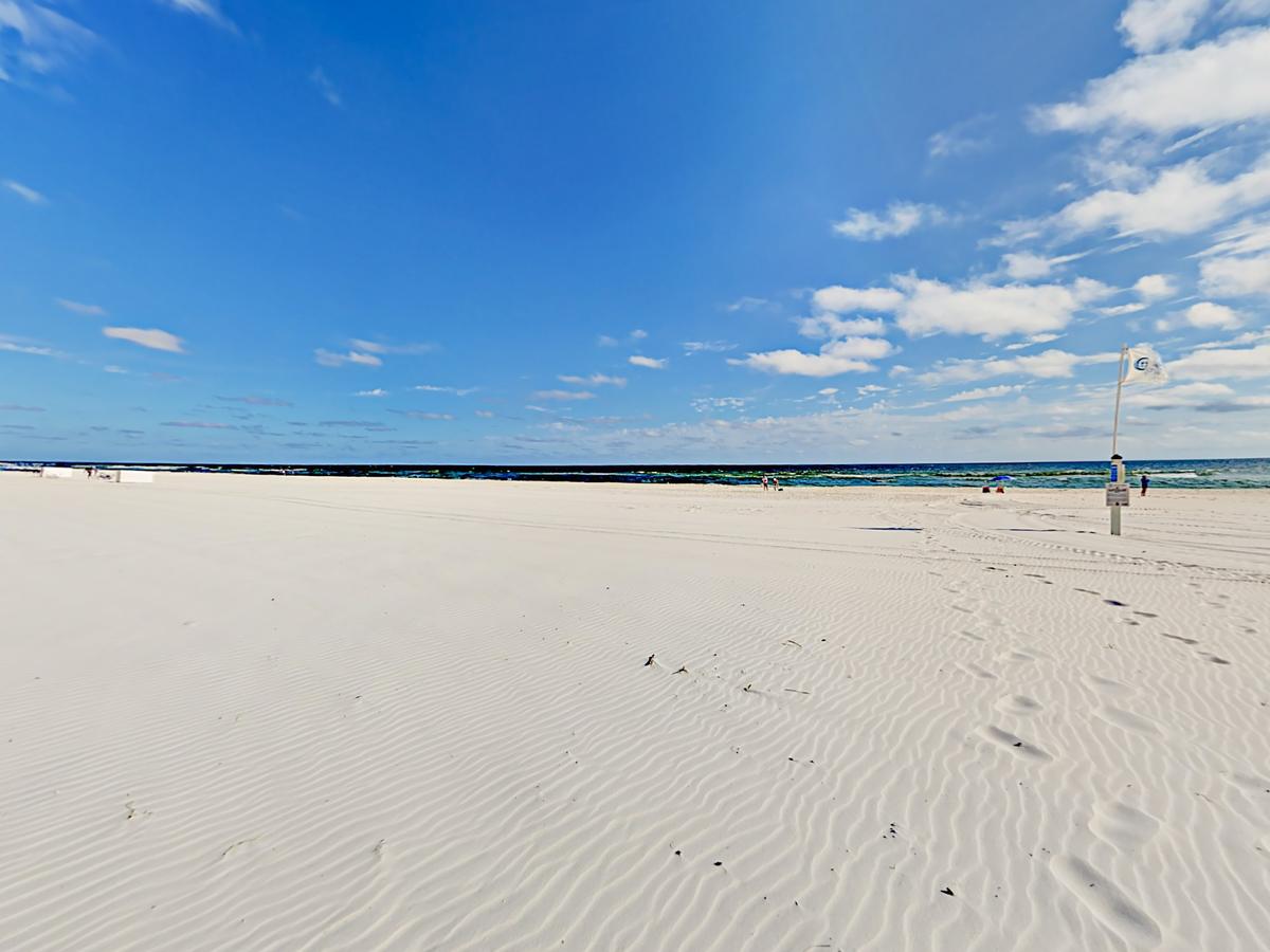 25342 Perdido Beach Blvd Condo Unit 803 - thumb 2