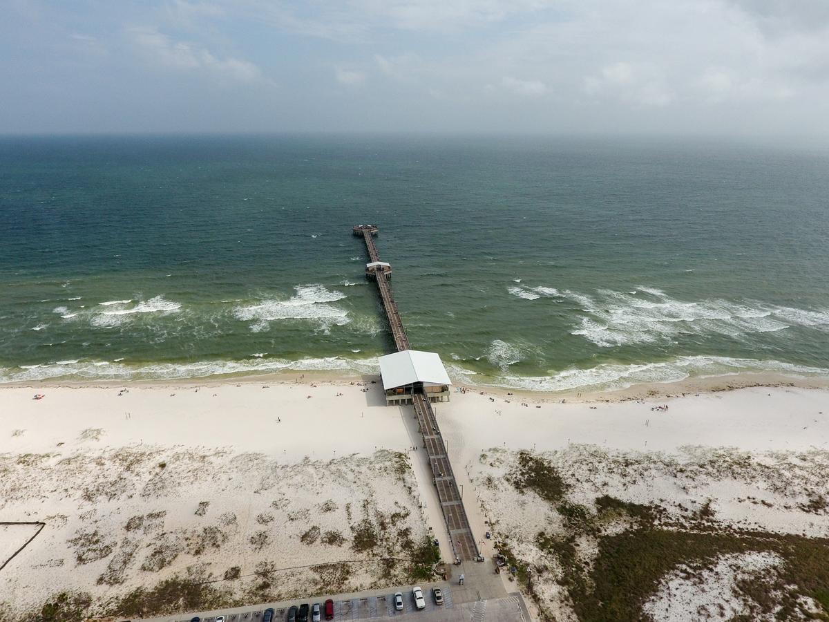 25805 Perdido Beach Condo - thumb 7