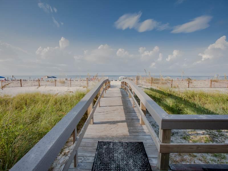 Lighthouse 1202 - thumb 20