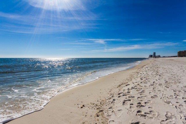 Boardwalk 682 - thumb 3