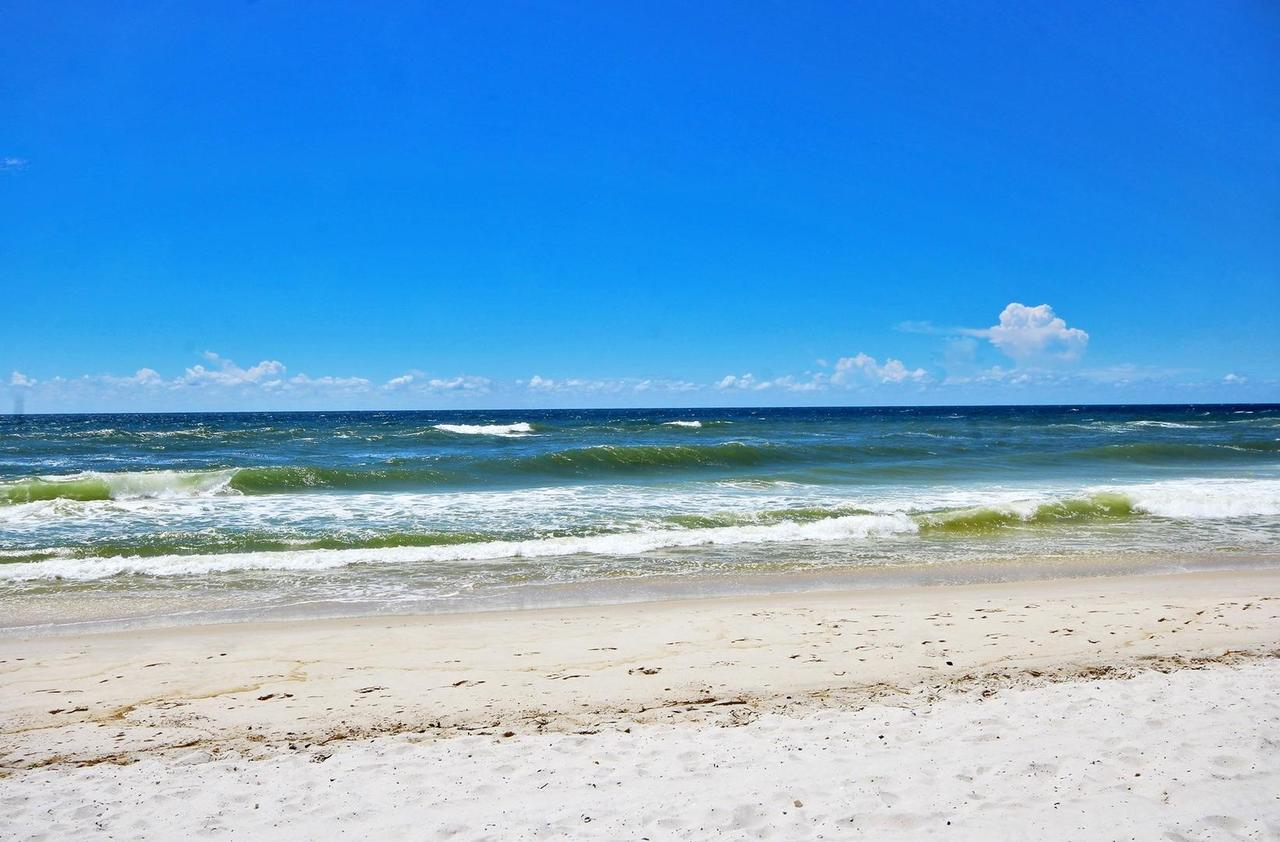 Boardwalk 682 - thumb 30