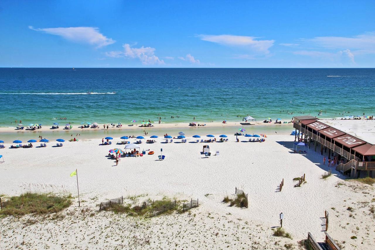 Boardwalk 682 - thumb 7