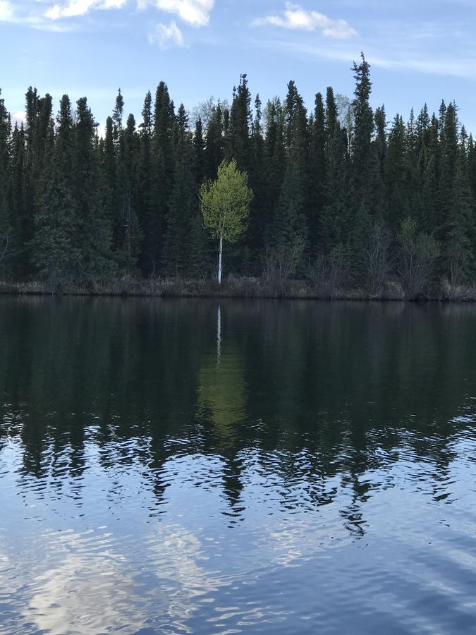 Alaska Serenity Cabin - thumb 9