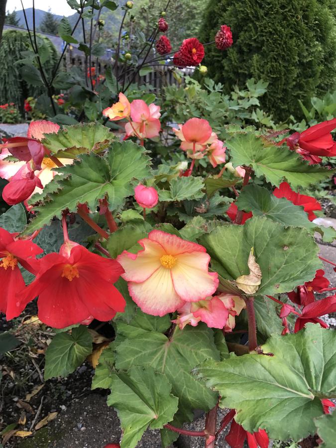 Alaska Serenity Cabin - thumb 23