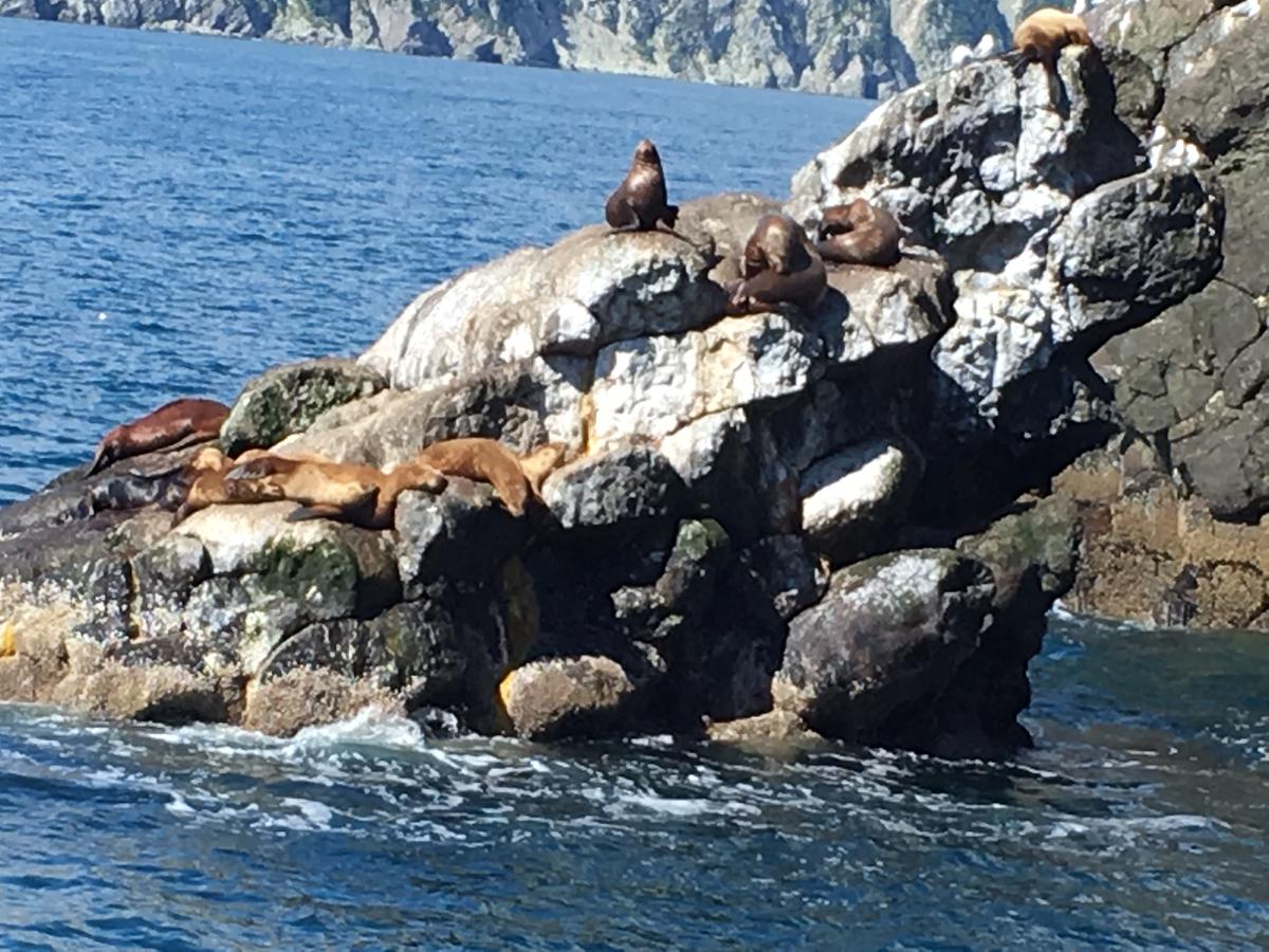 Alaska Serenity Cabin - thumb 20