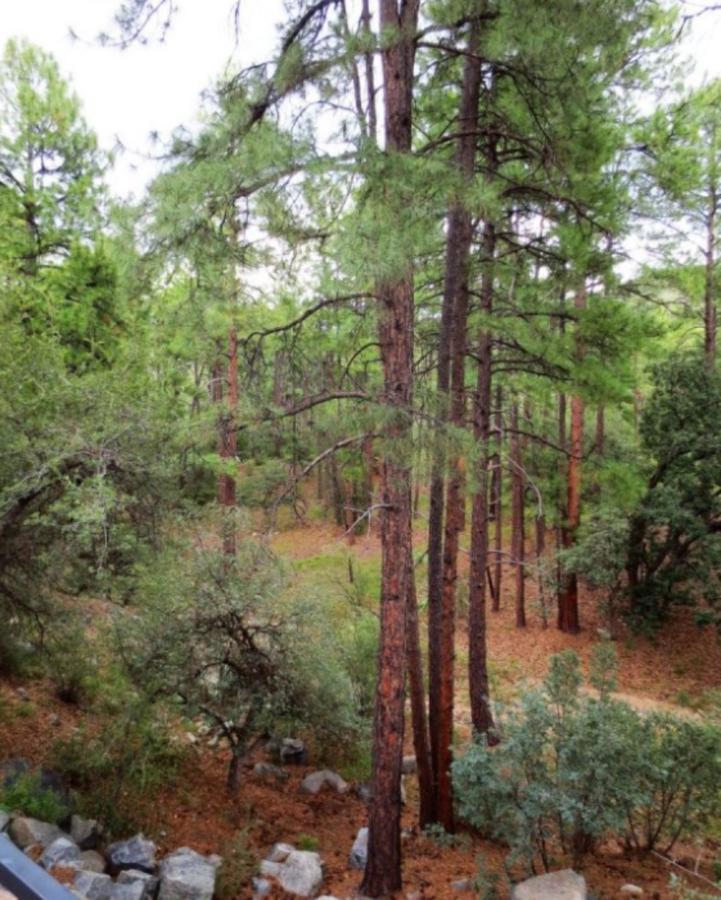 Pine Rock Cottage - thumb 9