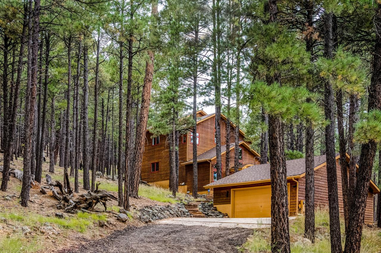 Hidden Gem - thumb 0