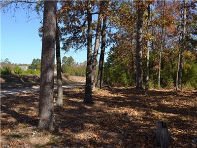 East Gate Area Townhome - thumb 31