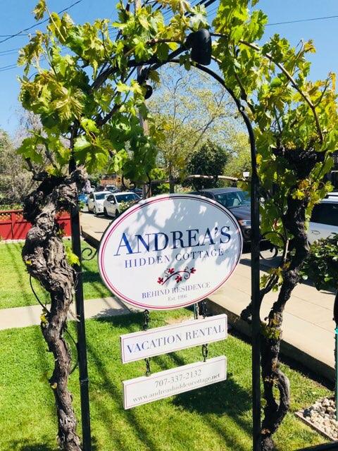 Andrea's Hidden Cottage - thumb 3