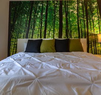 Forest Zen Apt  WorkSpace  KingBD - Tourism Bookings