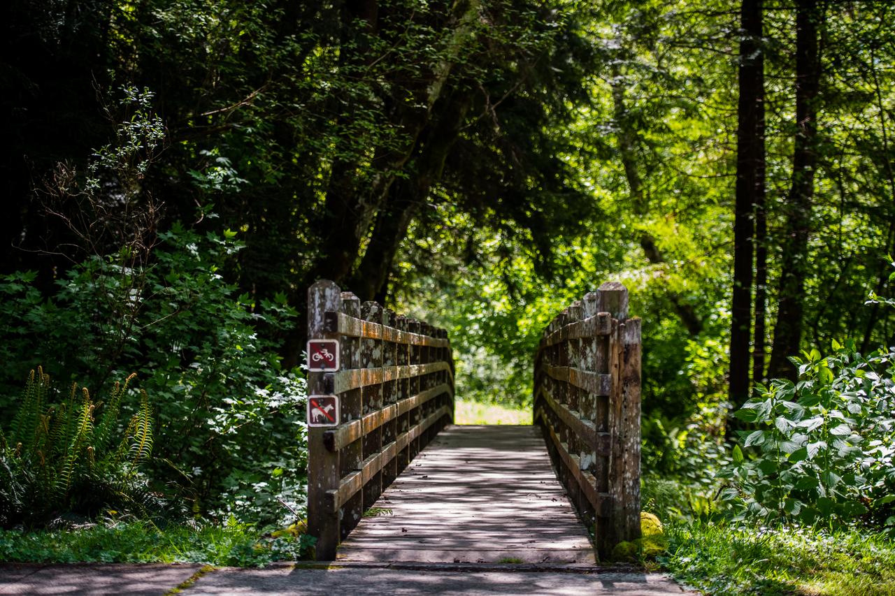 Orick Getaway - thumb 31