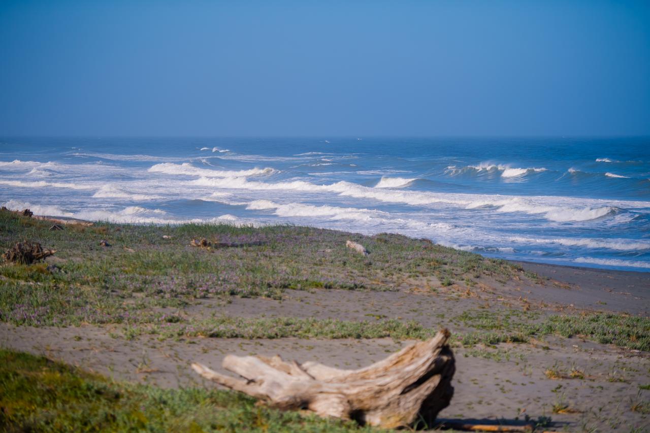 Orick Getaway - thumb 33