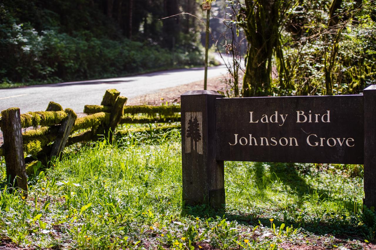 Orick Getaway - thumb 30