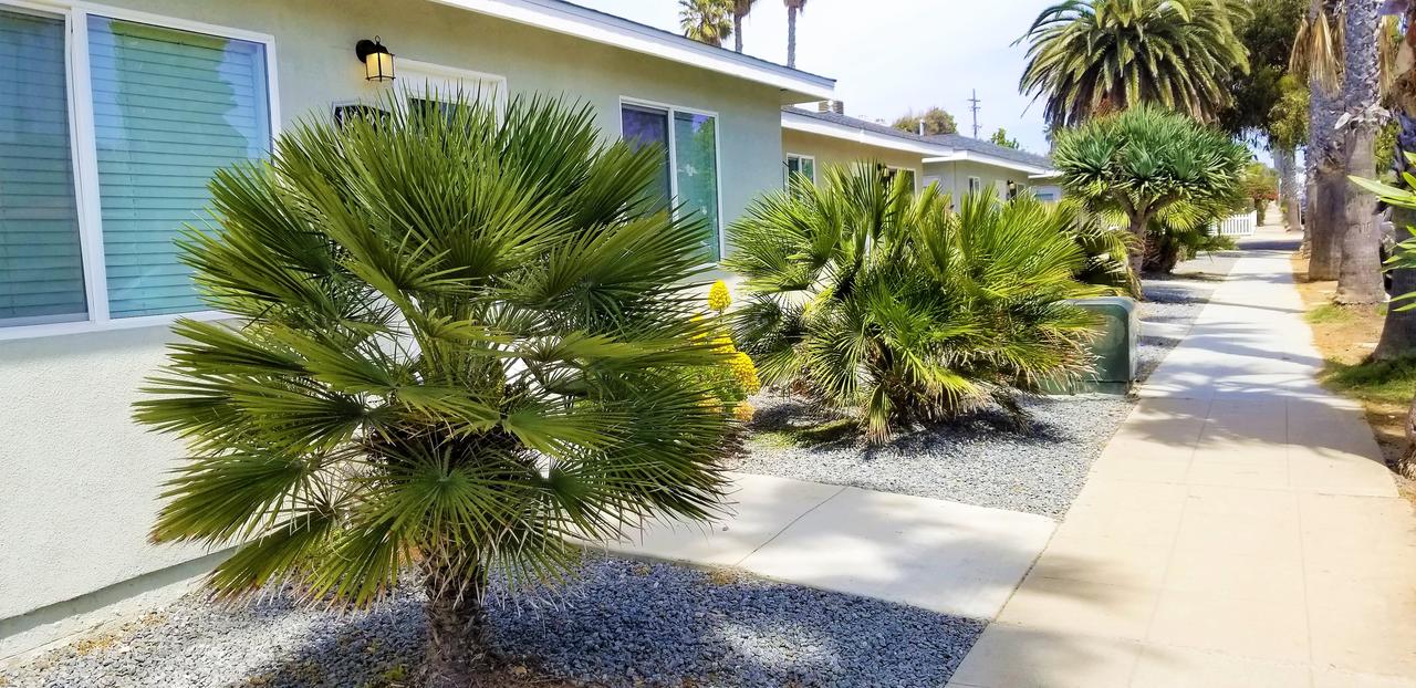 Sunset Cliffs Beach Cottage - thumb 11