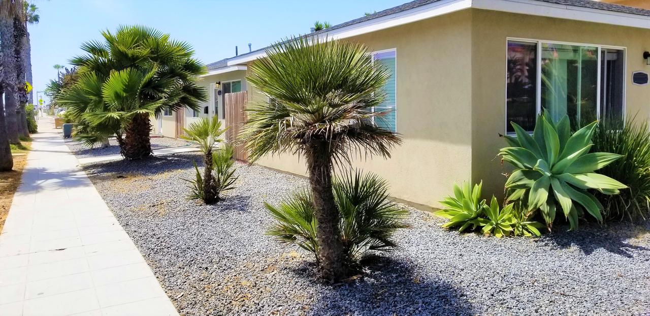 Sunset Cliffs Beach Cottage - thumb 10