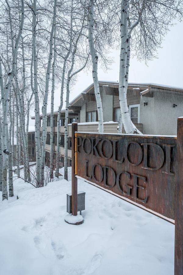 Pokolodi Lodge - thumb 3