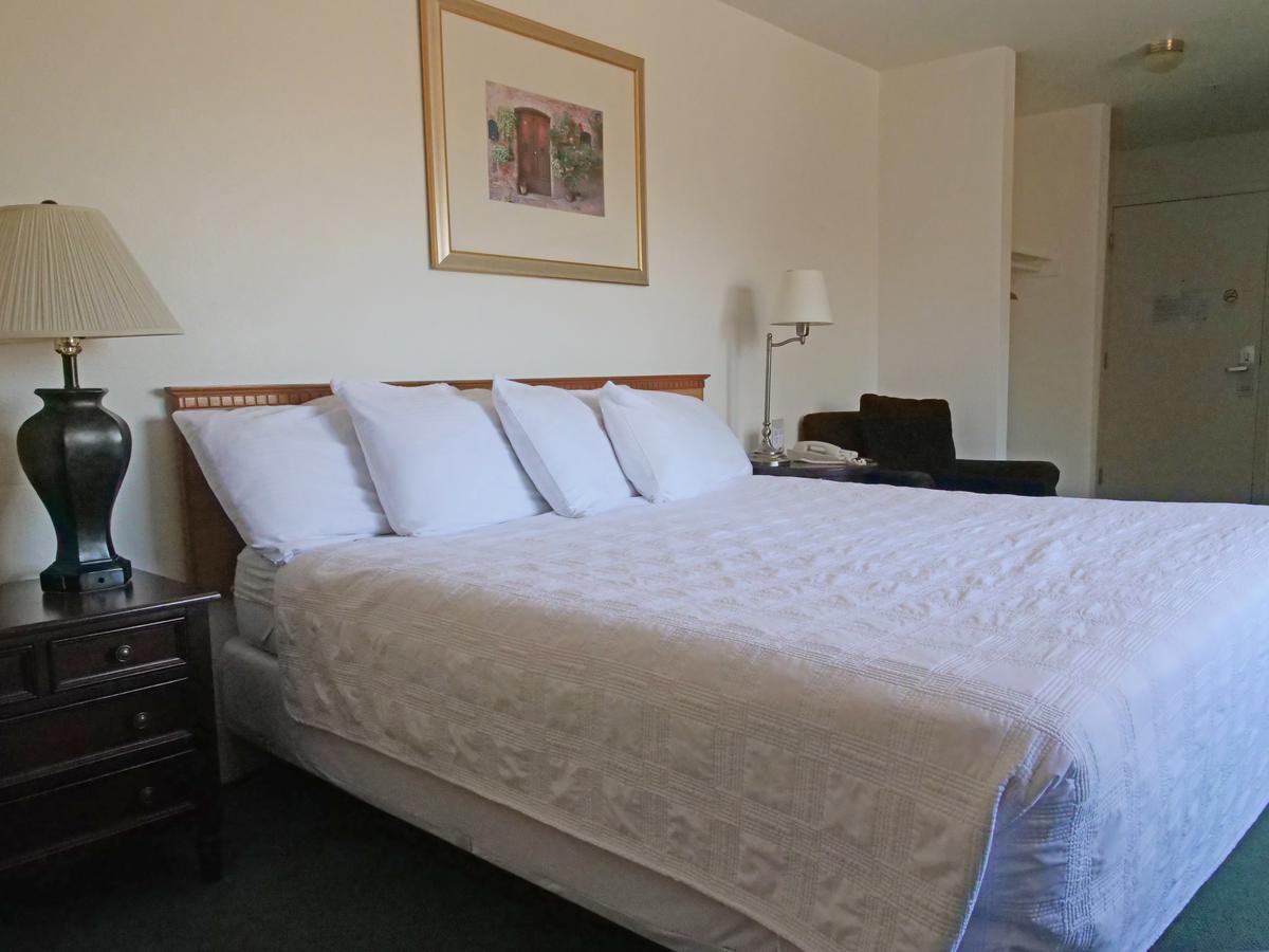 Motel Durango - thumb 9