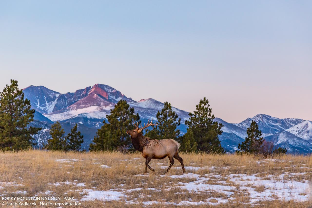 Rocky Mountain Hotel & Conference Center - thumb 33