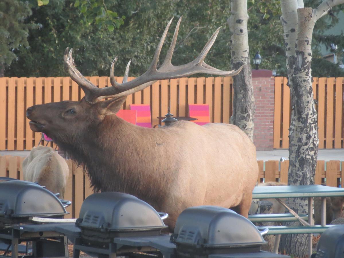 Murphy's Resort - thumb 17