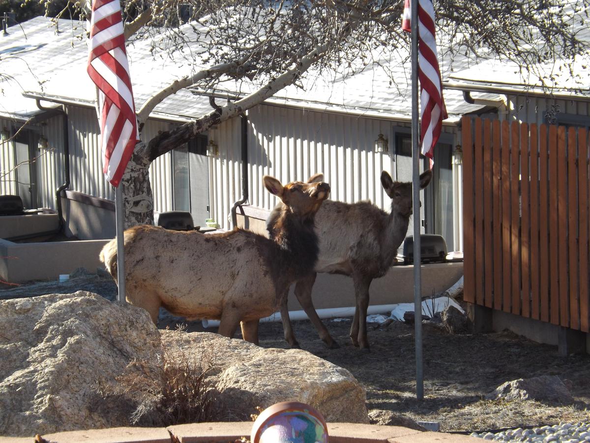 Murphy's Resort - thumb 34