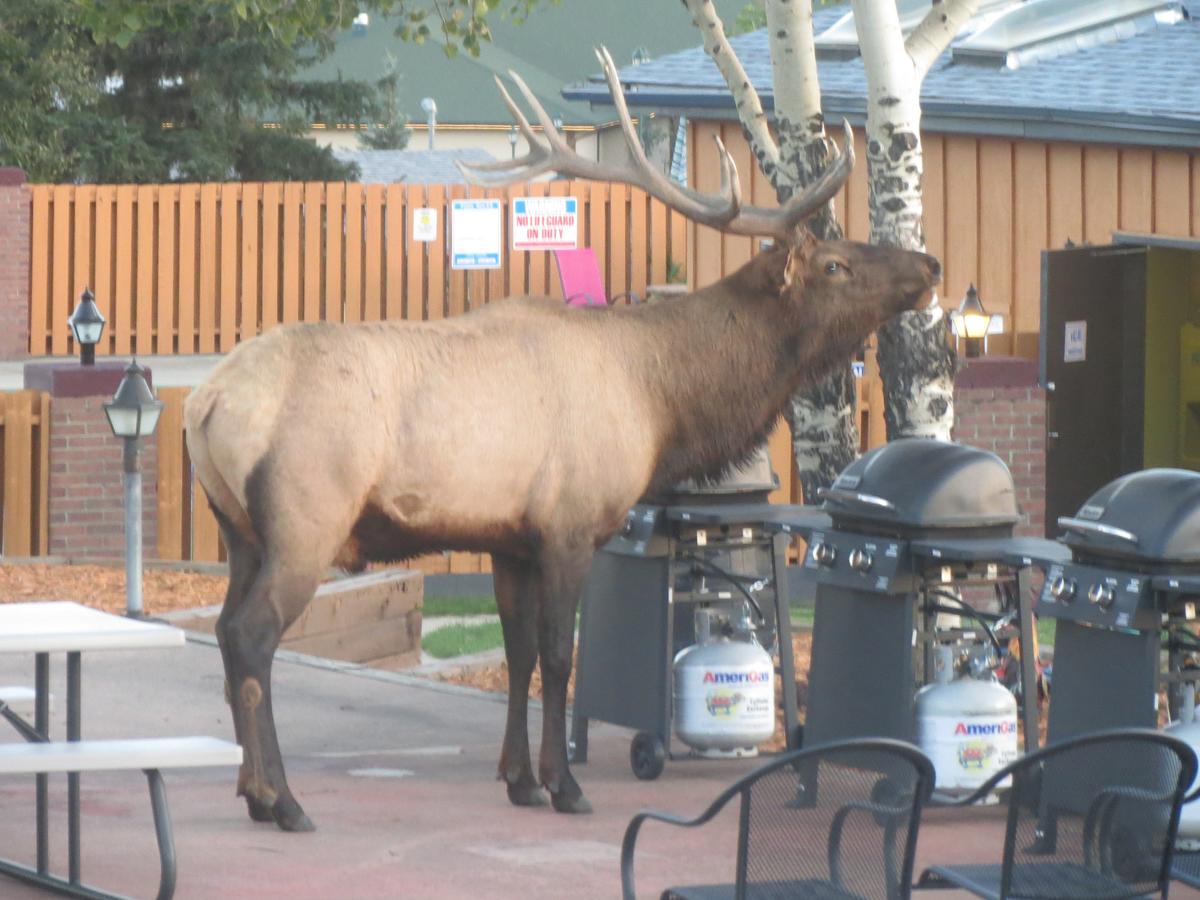 Murphy's Resort - thumb 32