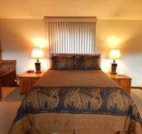 Timber Run - Tourism Bookings