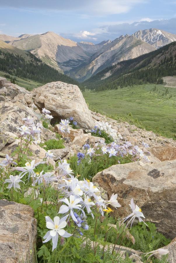 Denver Marriott West - thumb 20