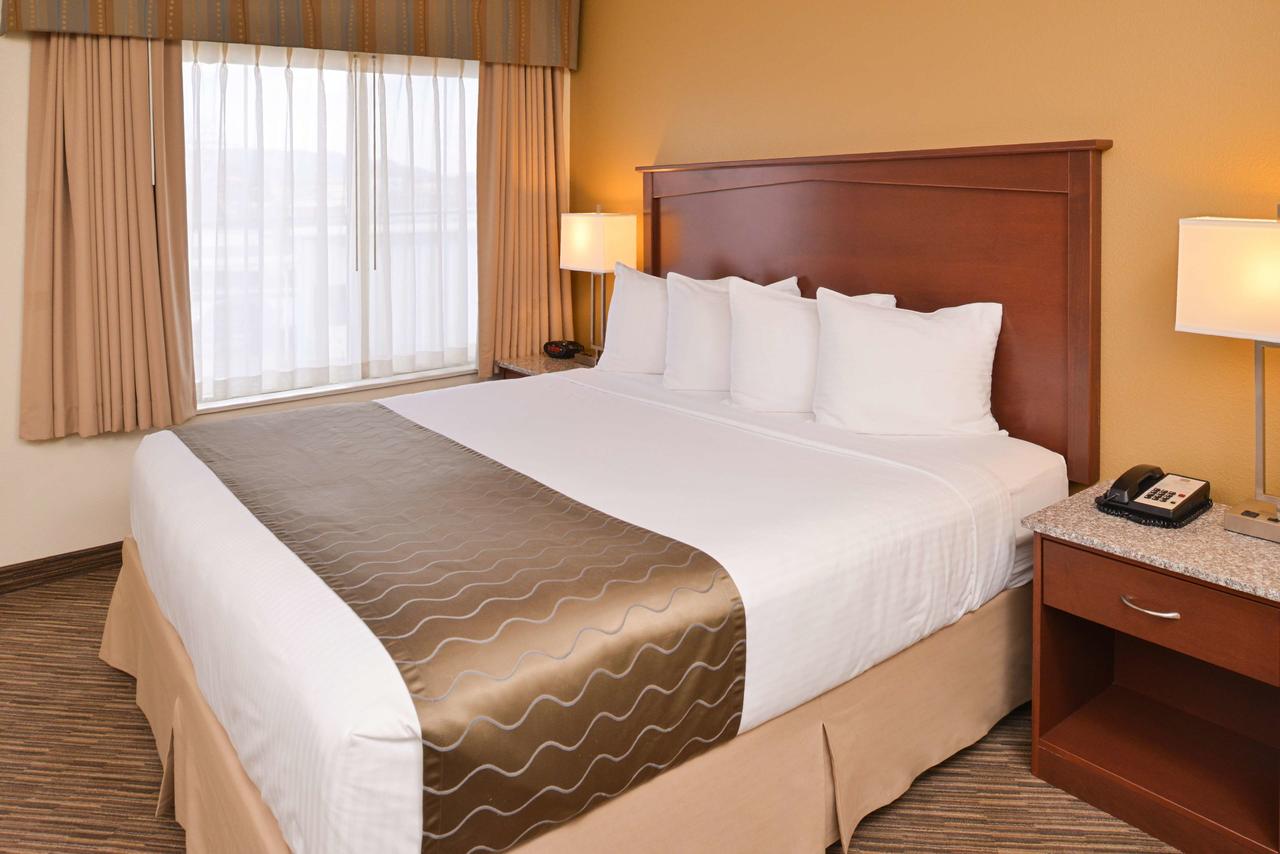 Best Western Executive Inn & Suites - thumb 17