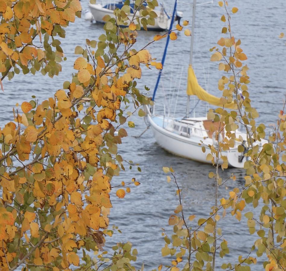 Style & Comfort At The Inn At SilverCreek - thumb 34