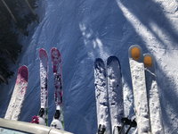 Booking Fraser Tourism Bookings