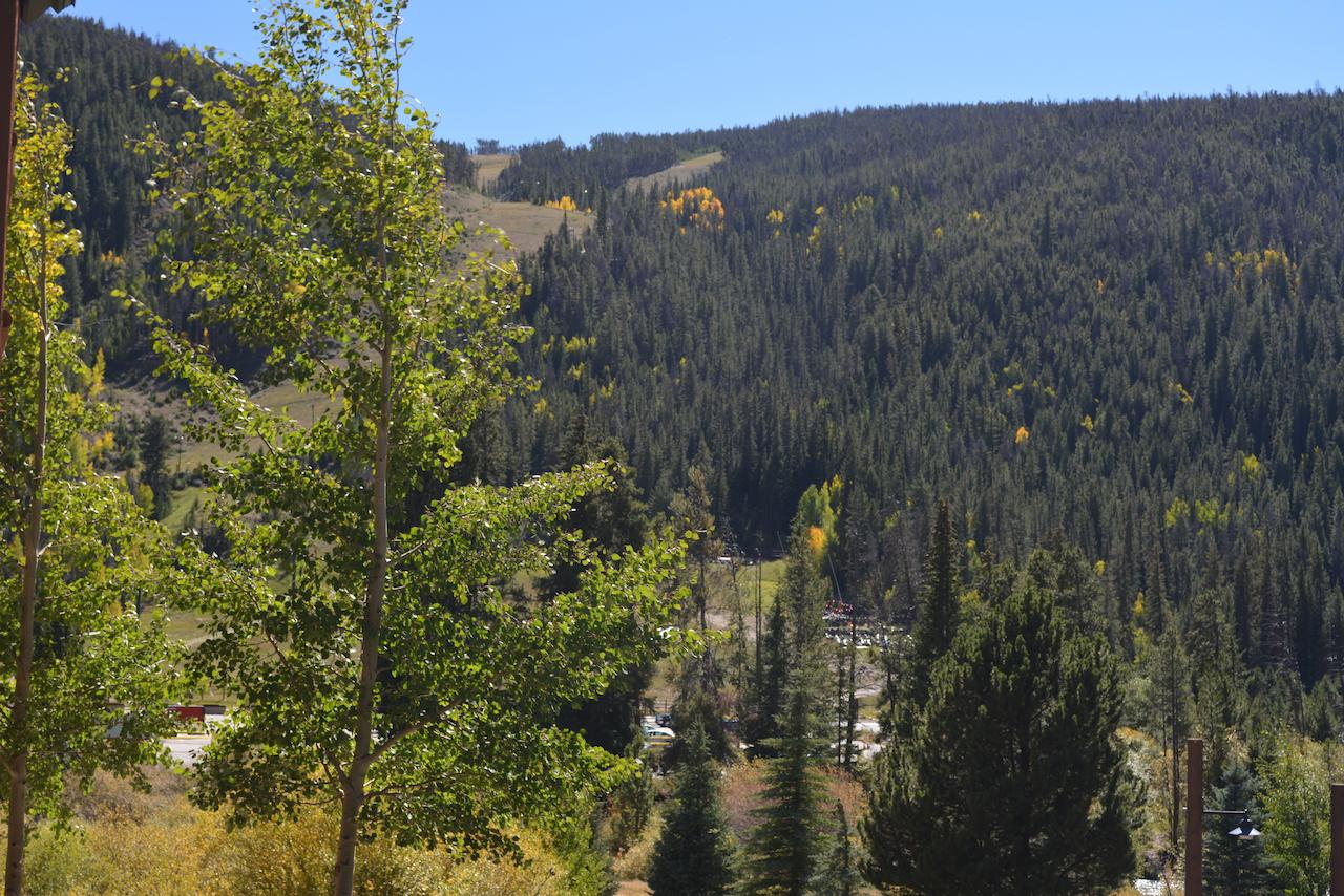 Tenderfoot Lodge - thumb 20