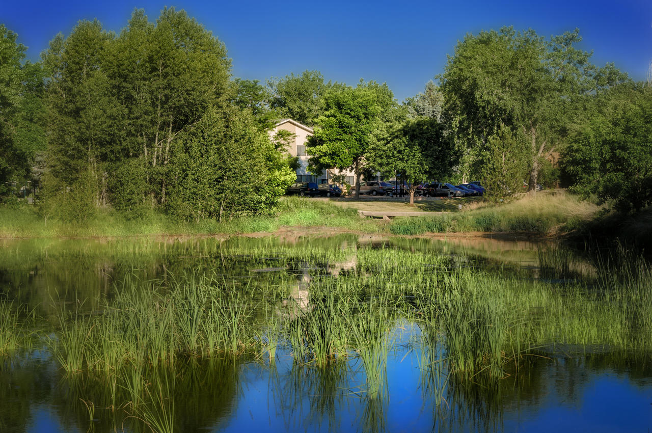 Boulder Twin Lakes Inn - thumb 5