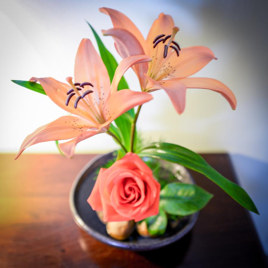 Briar Rose Bed & Breakfast - thumb 17