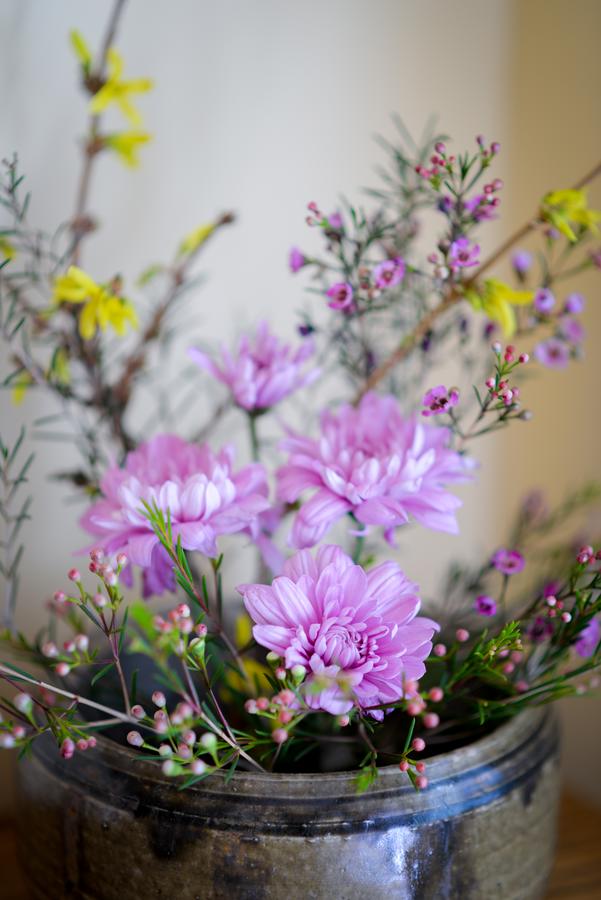 Briar Rose Bed & Breakfast - thumb 4