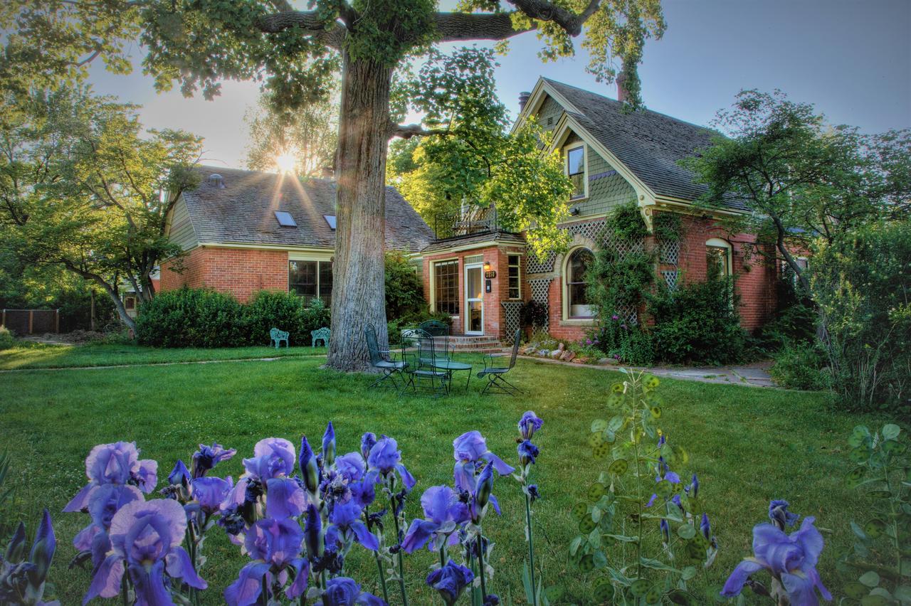 Briar Rose Bed & Breakfast - thumb 0