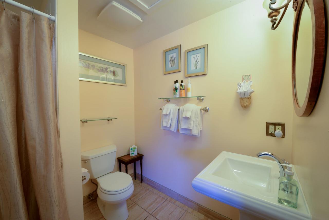 Briar Rose Bed & Breakfast - thumb 32