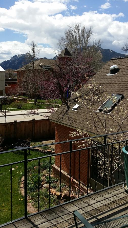 Briar Rose Bed & Breakfast - thumb 41