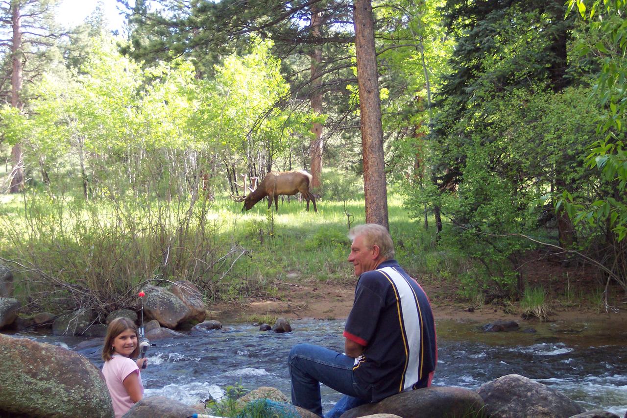 Swiftcurrent Lodge - thumb 44