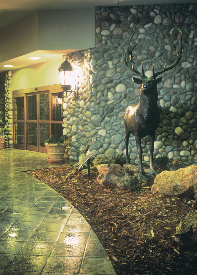 Grand Vista Hotel Grand Junction - thumb 16