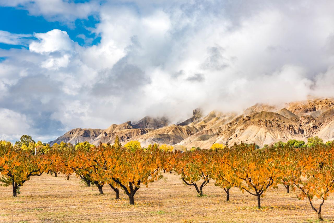 Grand Vista Hotel Grand Junction - thumb 39