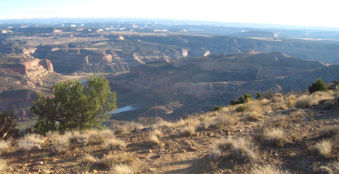 Super 8 By Wyndham Fruita - thumb 5