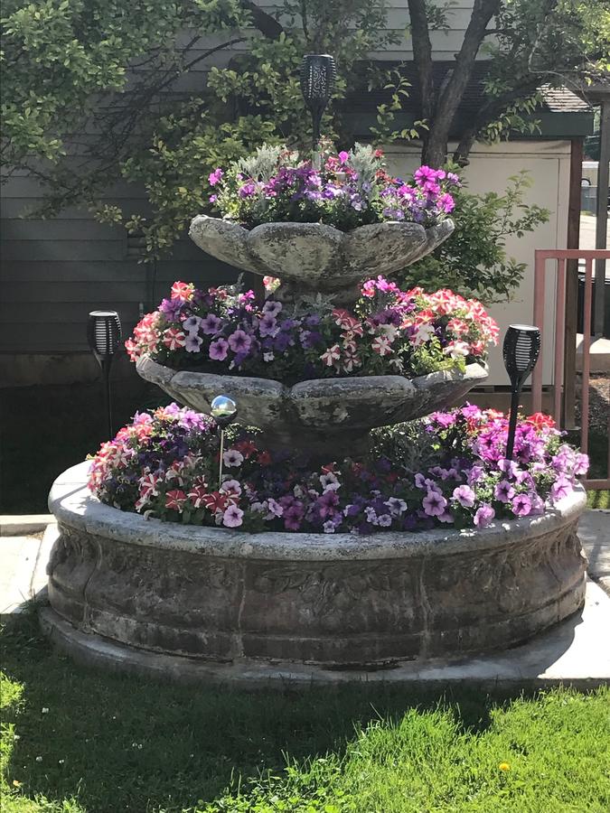 Colorado's Blue Spruce Inn - thumb 1