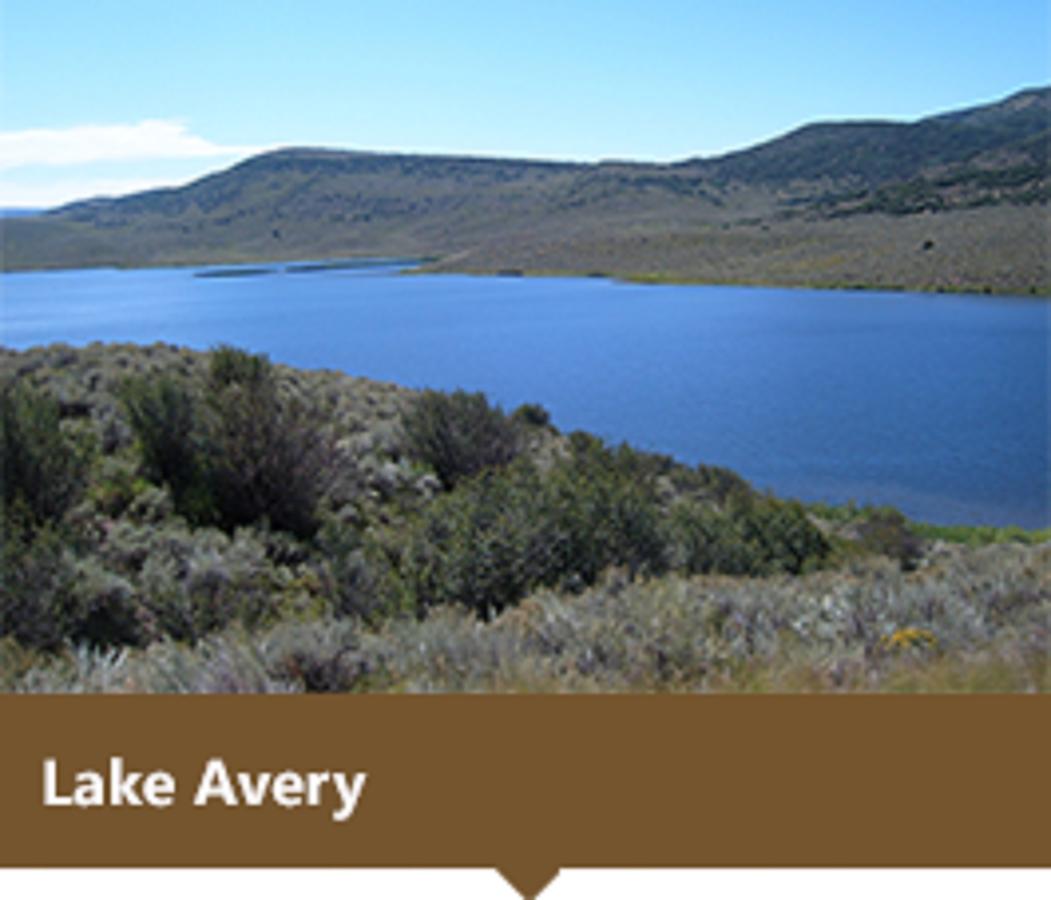 Colorado's Blue Spruce Inn - thumb 17