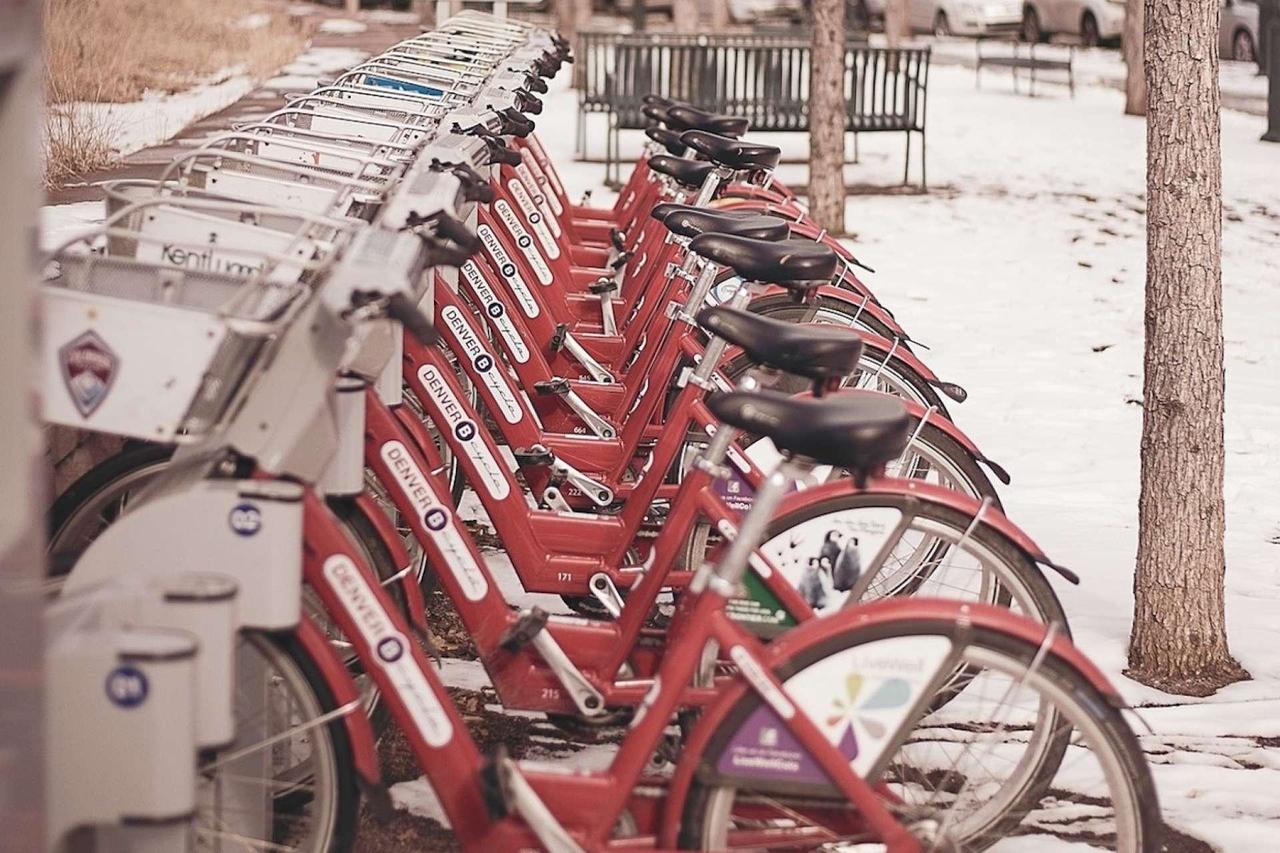 Capitol Hill Den - thumb 5